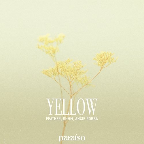 Yellow Angie Robba, Feather, BNHM
