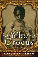 Yellow Crocus Ibrahim Laila
