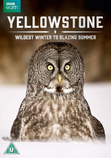 Yellowstone - Wildest Winter to Blazing Summer (brak polskiej wersji językowej) 2 Entertain