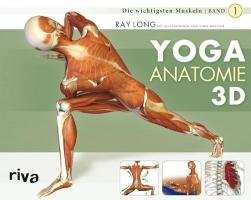 Yoga-Anatomie 3D Long Ray