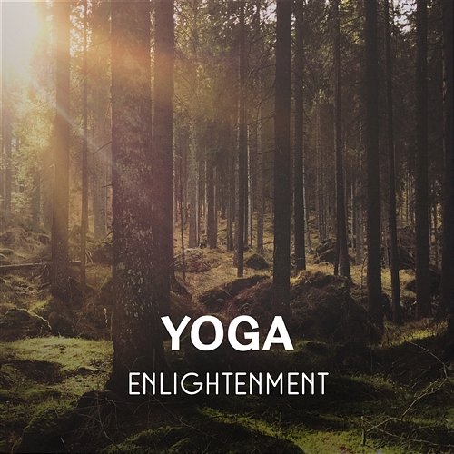 Yoga Enlightenment – Meditation Music for Yoga Training, Clearing Your Mind, Body Stimulation Calm Music Masters