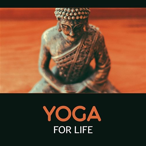Yoga for Life – Inner Peace & Freedom, Deep Mindflness, Gentle Movements, Stretch Out, Find Motivation, Stress Free Yoga Therapy Collection