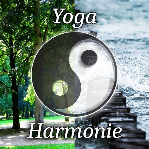 Yoga - Harmonie zen, Cours pour débutants et experts, 101 Positions, Hatha yoga, Force intérieure, Souplesse, Équilibre, Respiration profonde, Mobilité: Musique d’ambiance & New age Hatha Yoga Music Zone