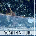 Yoga in Nature - Feel the Soothing Sounds, Deep Relaxation for Body and Mind, Morning Workout Yoga, Spiritual Meditation Yoga Training Music Sounds