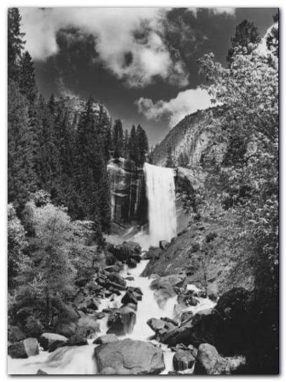 Yosemite Park plakat obraz 60x80cm Wizard+Genius