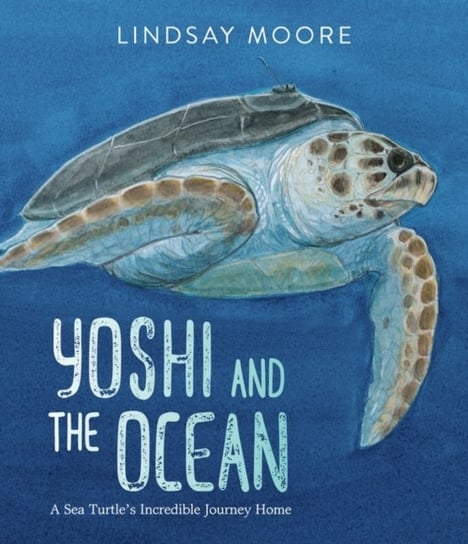 Yoshi and the Ocean: A Sea Turtle's Incredible Journey Home Lindsay Moore