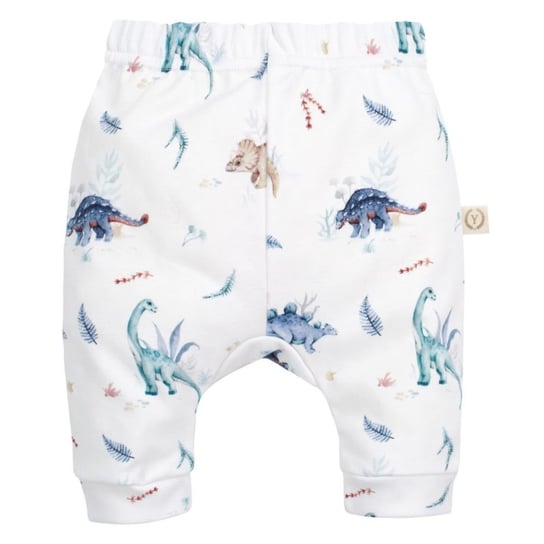 YOSOY Spodnie niemowlęce organic cotton Dinos 56 Yosoy