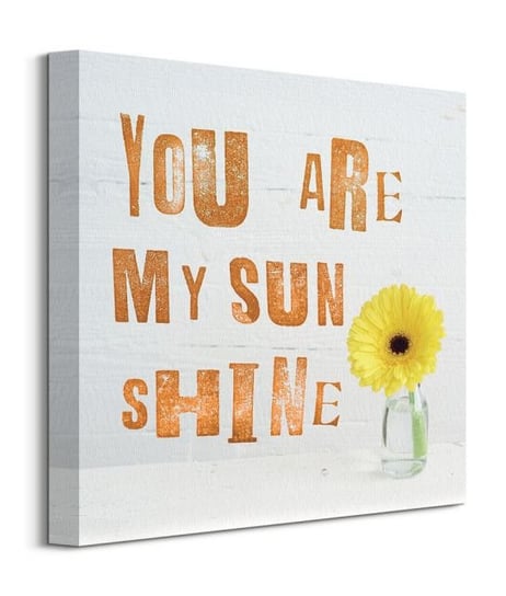 You Are My Sun Shine - obraz na płótnie Art Group