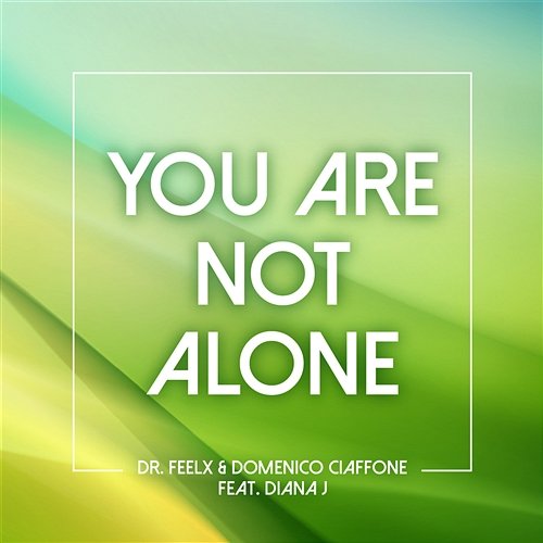 You Are Not Alone Dr. Feelx & Domenico Ciaffone feat. Diana J