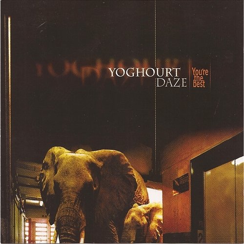 You are the best Yoghourt Daze