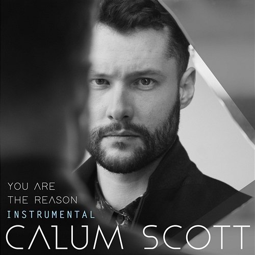 You Are The Reason Calum Scott