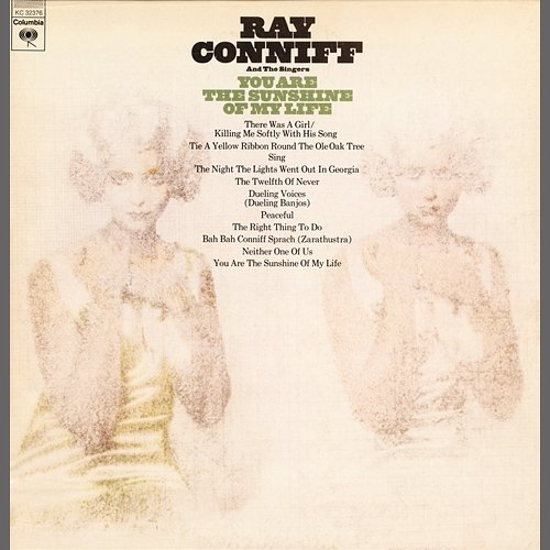 You Are The Sunshine Of My Life Ray Conniff