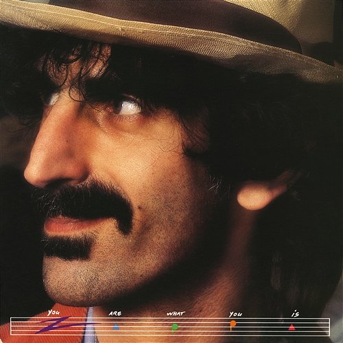 You Are What You Is Frank Zappa