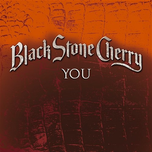 You Black Stone Cherry
