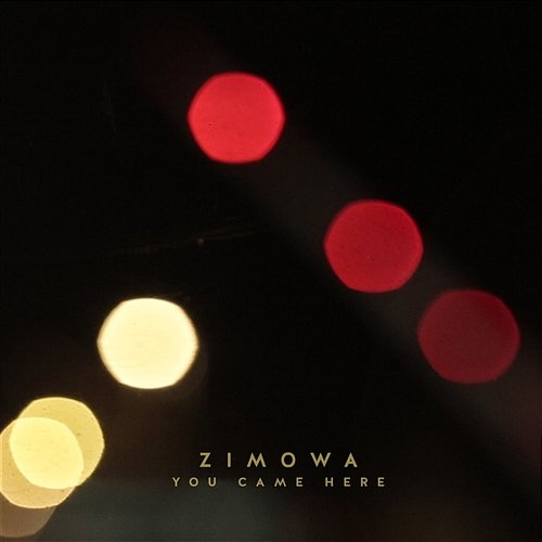 You Came Here (Ipnops - The Dumplings Remix) Zimowa