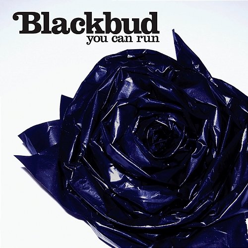 You Can Run Blackbud