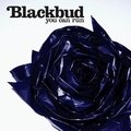 You Can Run Blackbud