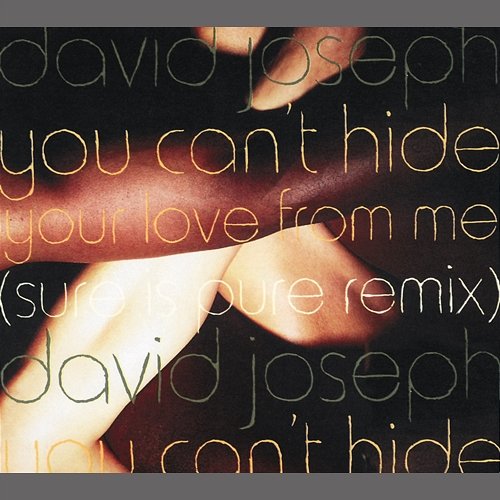 You Can't Hide (Your Love From Me) David Joseph
