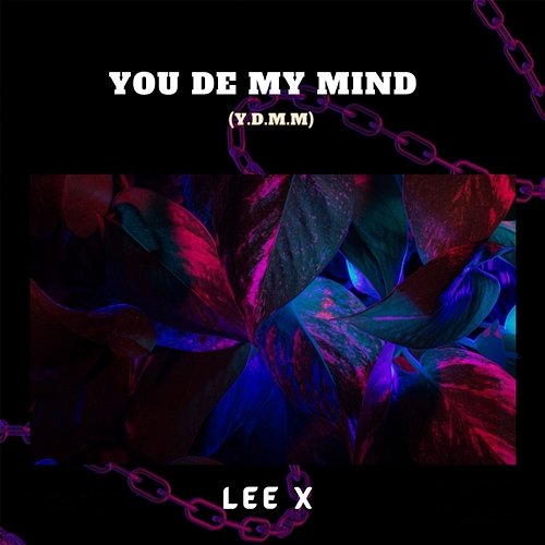You De My Mind (Y.D.M.M) Lee X