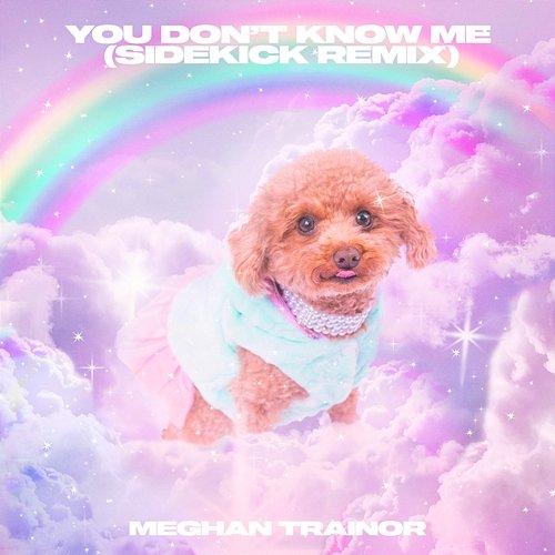 You Don't Know Me Meghan Trainor