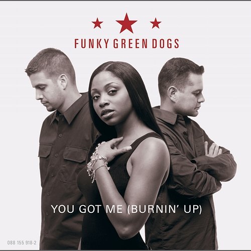 You Got Me (Burnin' Up) Funky Green Dogs