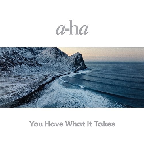 You Have What It Takes a-ha