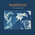 You'll Have to Scream Louder Tindersticks