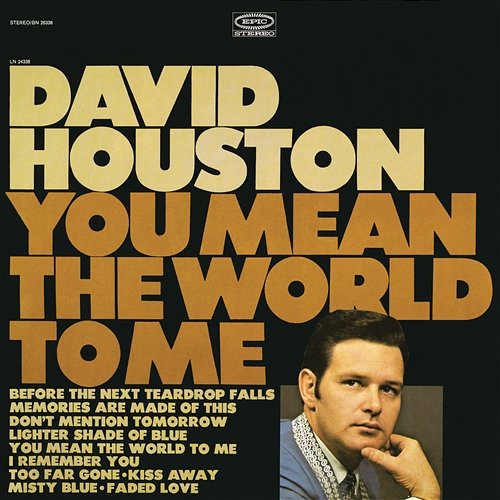 You Mean the World to Me David Houston