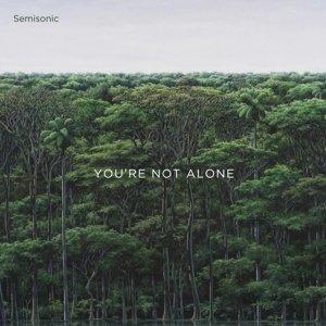 You're Not Alone, płyta winylowa Semisonic