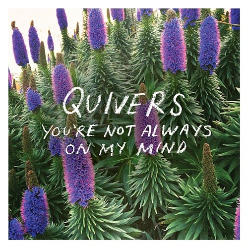 You're Not Always On My Mind Quivers