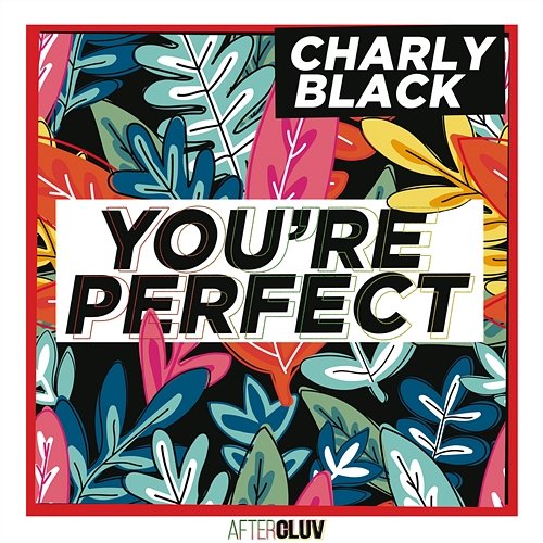 You're Perfect Charly Black