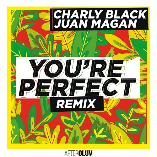 You're Perfect Charly Black feat. Juan Magán
