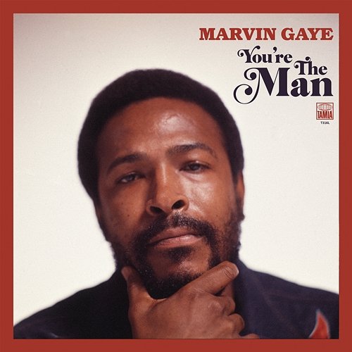 You're the Man Marvin Gaye