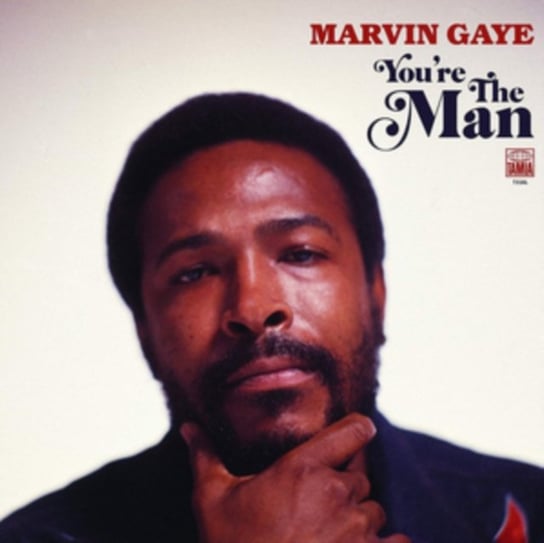You're the Man, płyta winylowa Gaye Marvin