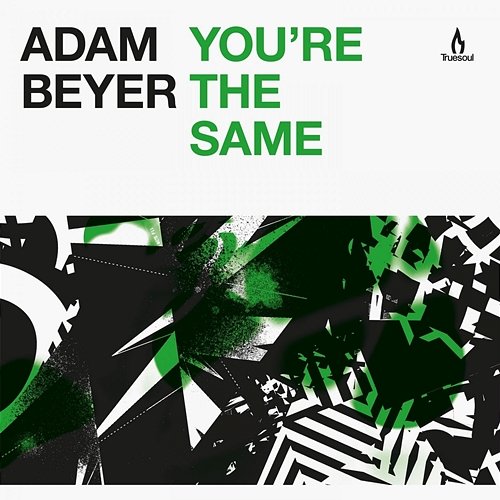 You're the Same Adam Beyer