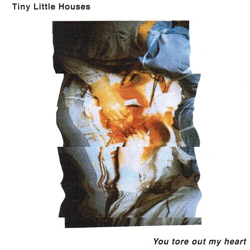 You Tore Out My Heart Tiny Little Houses