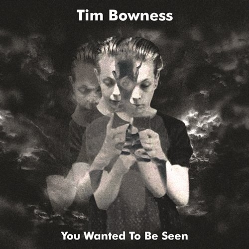 You Wanted to Be Seen Tim Bowness