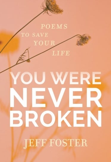You Were Never Broken: Poems to Save Your Life Foster Jeff