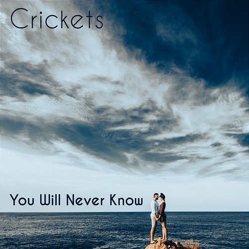 You Will Never Know Crickets