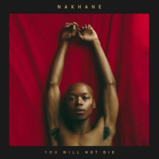 You Will Not Die Nakhane