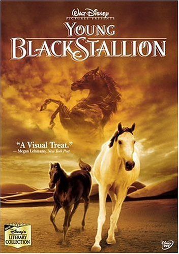 Young Black Stallion Wincer Simon