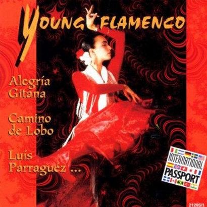 Young Flamenco Various Artists