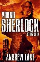 Young Sherlock Holmes 07. Stone Cold Lane Andrew