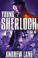 Young Sherlock Holmes 3: Black Ice Lane Andrew