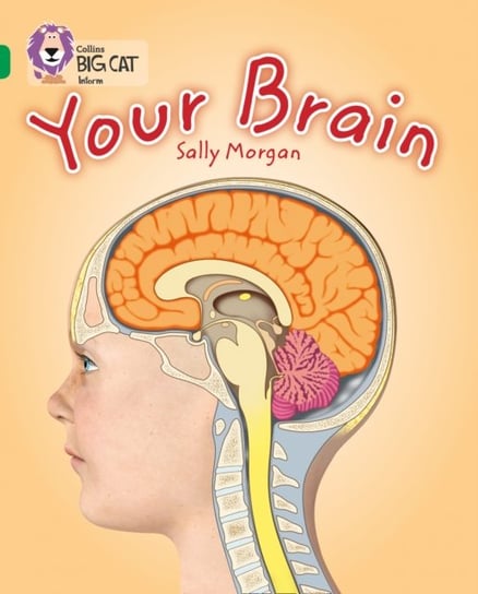 Your Brain: Band 15Emerald Morgan Sally