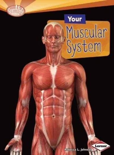 Your Muscular System Johnson