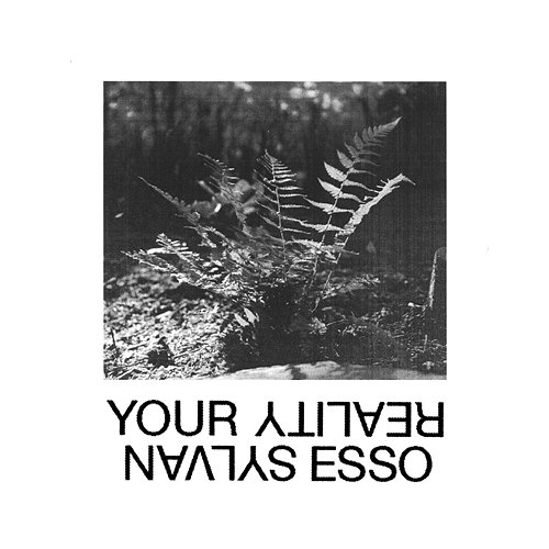 Your Reality Sylvan Esso