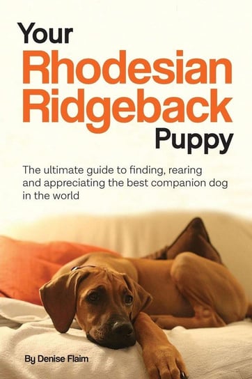 Your Rhodesian Ridgeback Puppy Flaim Denise
