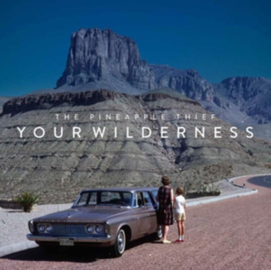 Your Wilderness The Pineapple Thief