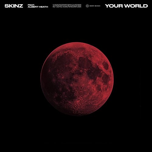 Your World Skinz feat. Albert Heath